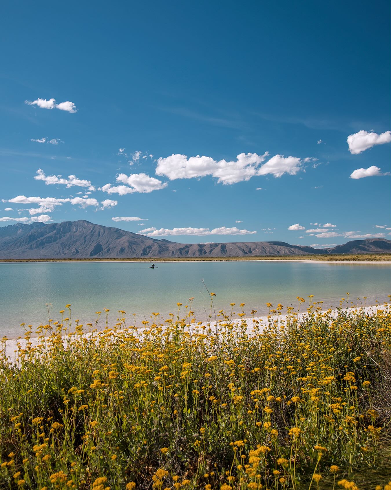 playa en medio de desierto de Cuatrociénegas