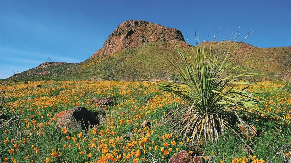Parque Nacional Montañas Franklin