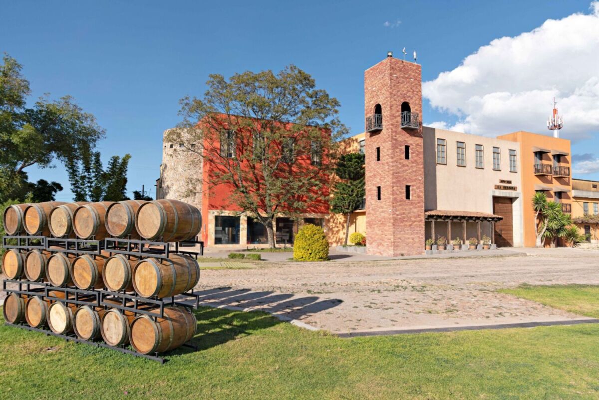 Viñedo La Redonda en Querétaro 