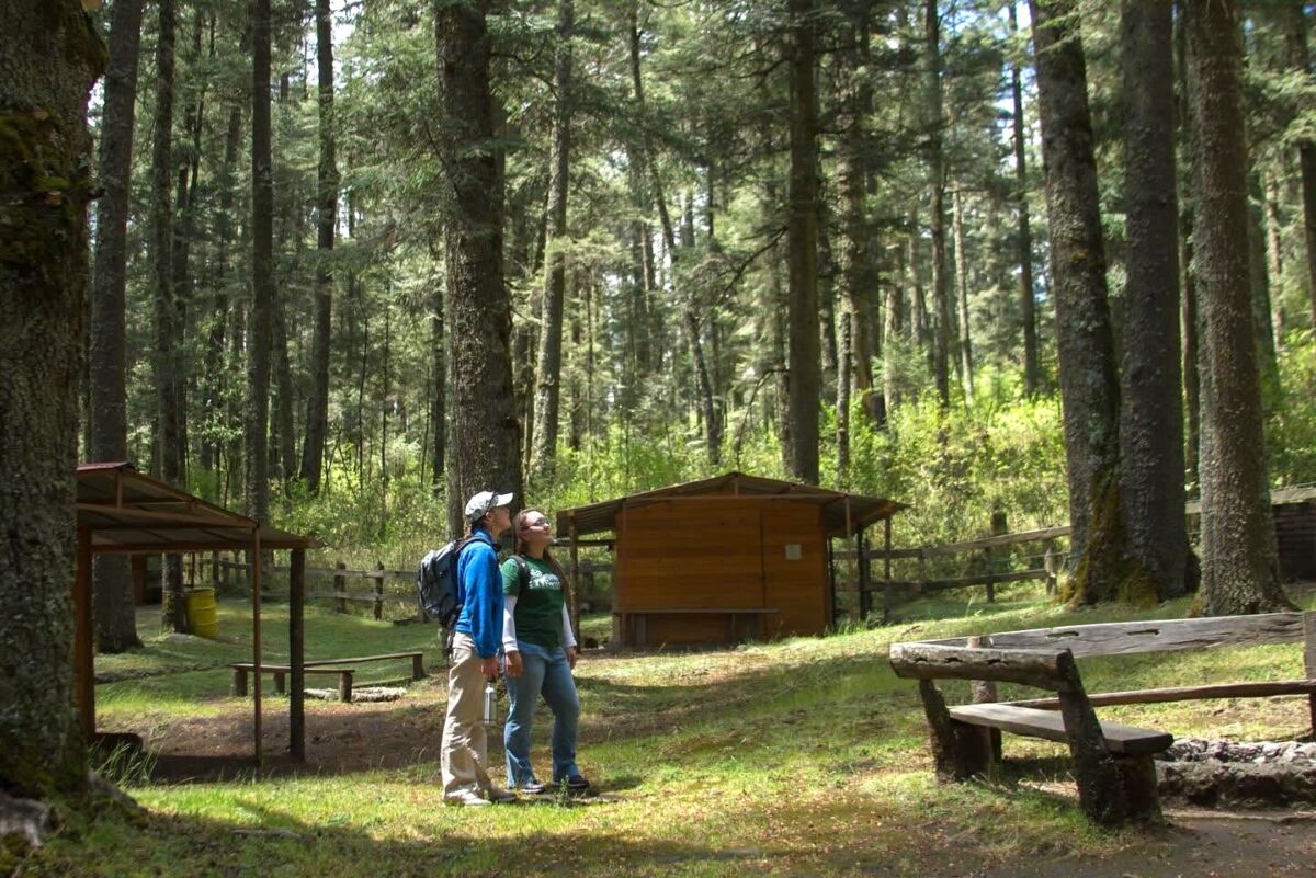Parque Nacional El Chico