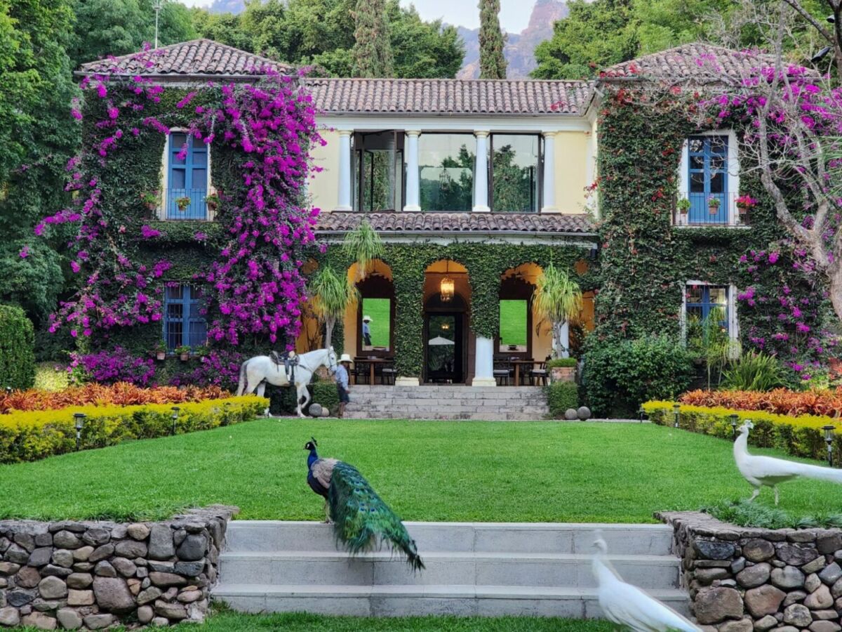 Está a 90 minutos de la CDMX: hacen retiros, tiene alberca, jardines y las mejores vistas al Tepozteco