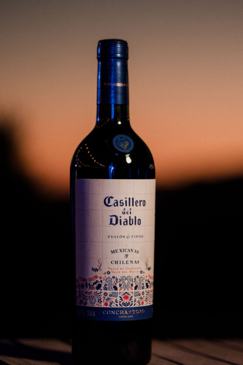 Héctor Urzúa, enólogo de Casillero del Diablo: “México entrega suavidad y elegancia, Chile aporta potencia y estructura”