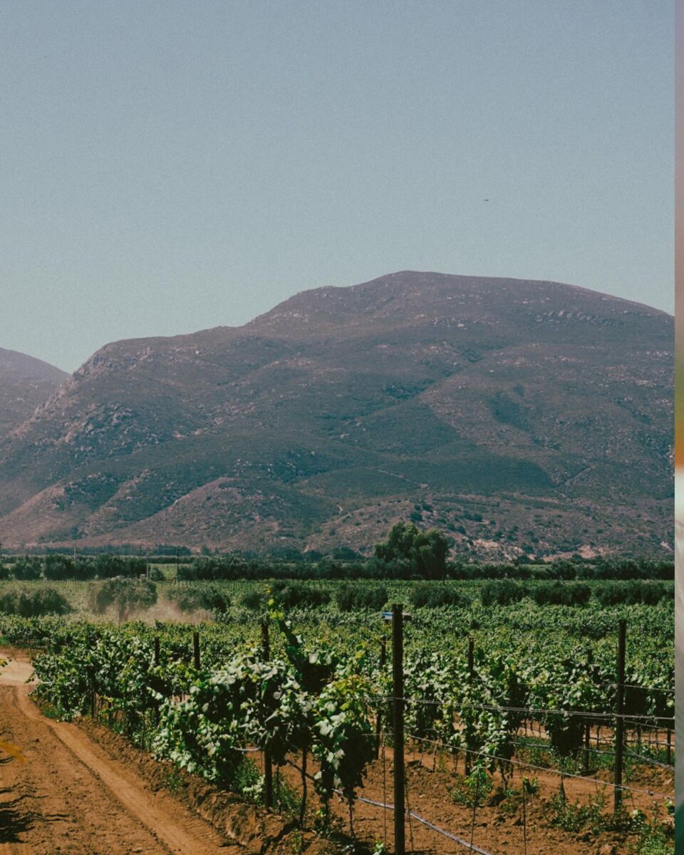 Valle de Guadalupe
