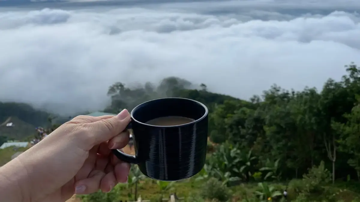 Taza de café en Simojovel, Chiapas 