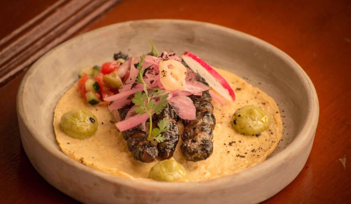 Taco de zats, plato tradicional de Simojovel