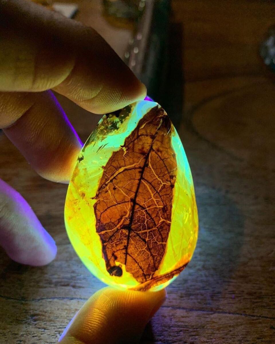 Piedra de ámbar con incrustaciones fósiles