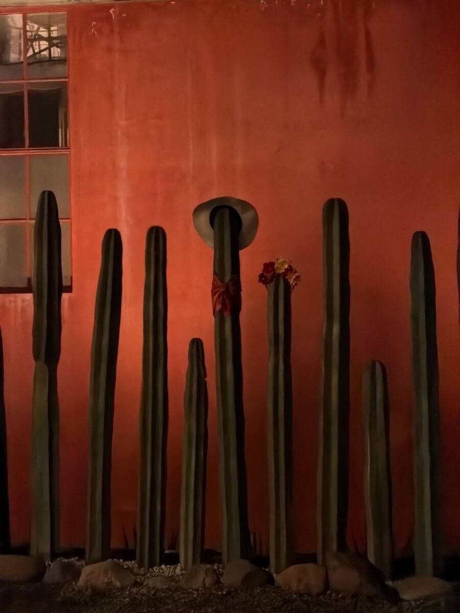 La luz que habita, instalación lumínica en el Museo Casa Estudio Diego Rivera y Frida Kahlo en San Ángel Inn, CDMX