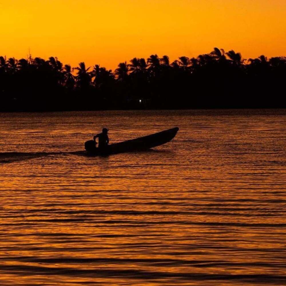 Paseo en lancha por los manglares de la Reserva de la Biosfera La Encrucijada en Pijijiapan 