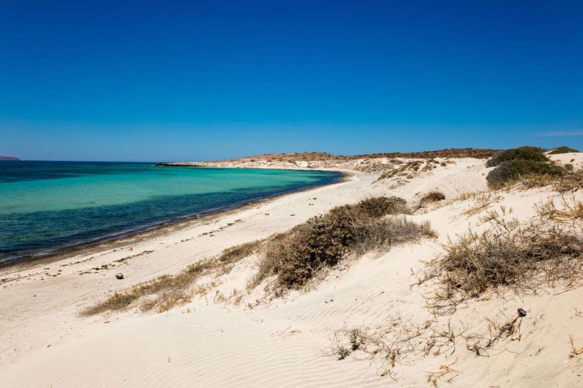 playa de agua turquesa y arena blanca