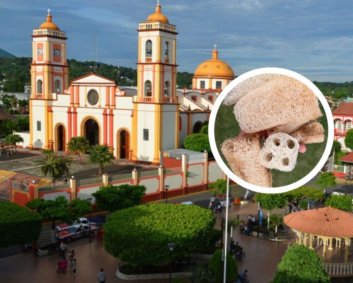 La gente va a un pueblito de Veracruz por su belleza y regresa con zacates de luffa para bañarse