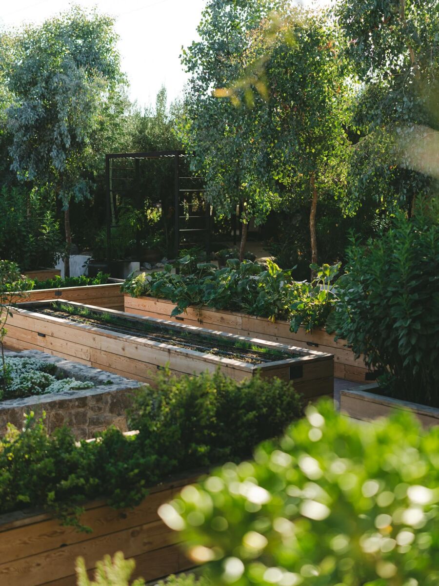 huerto de Olivea Farm To Table