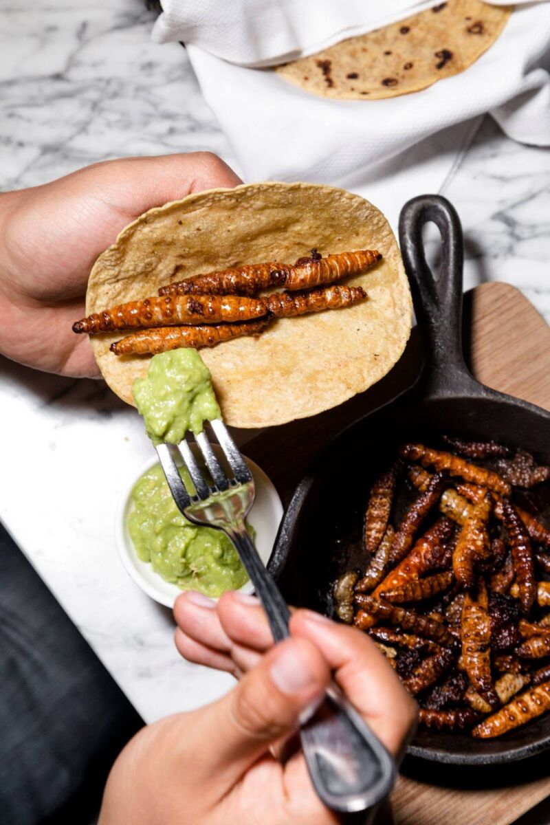 Tacos de gusanos de maguey