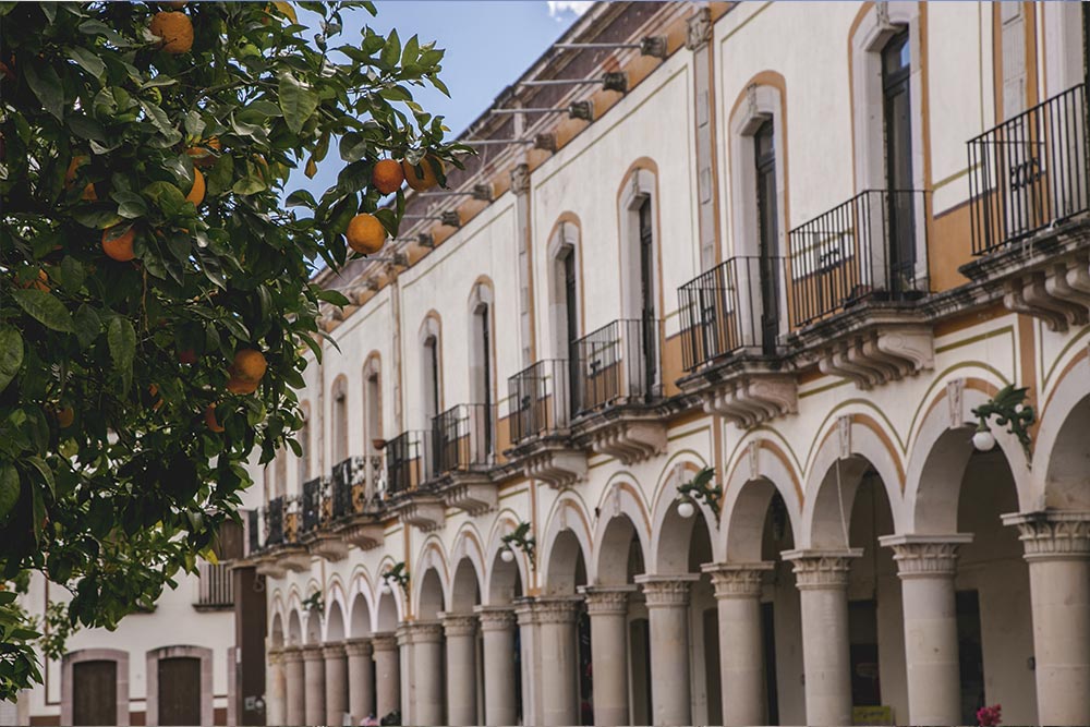 casa colonial con árbol de naranjos en Zacatecas