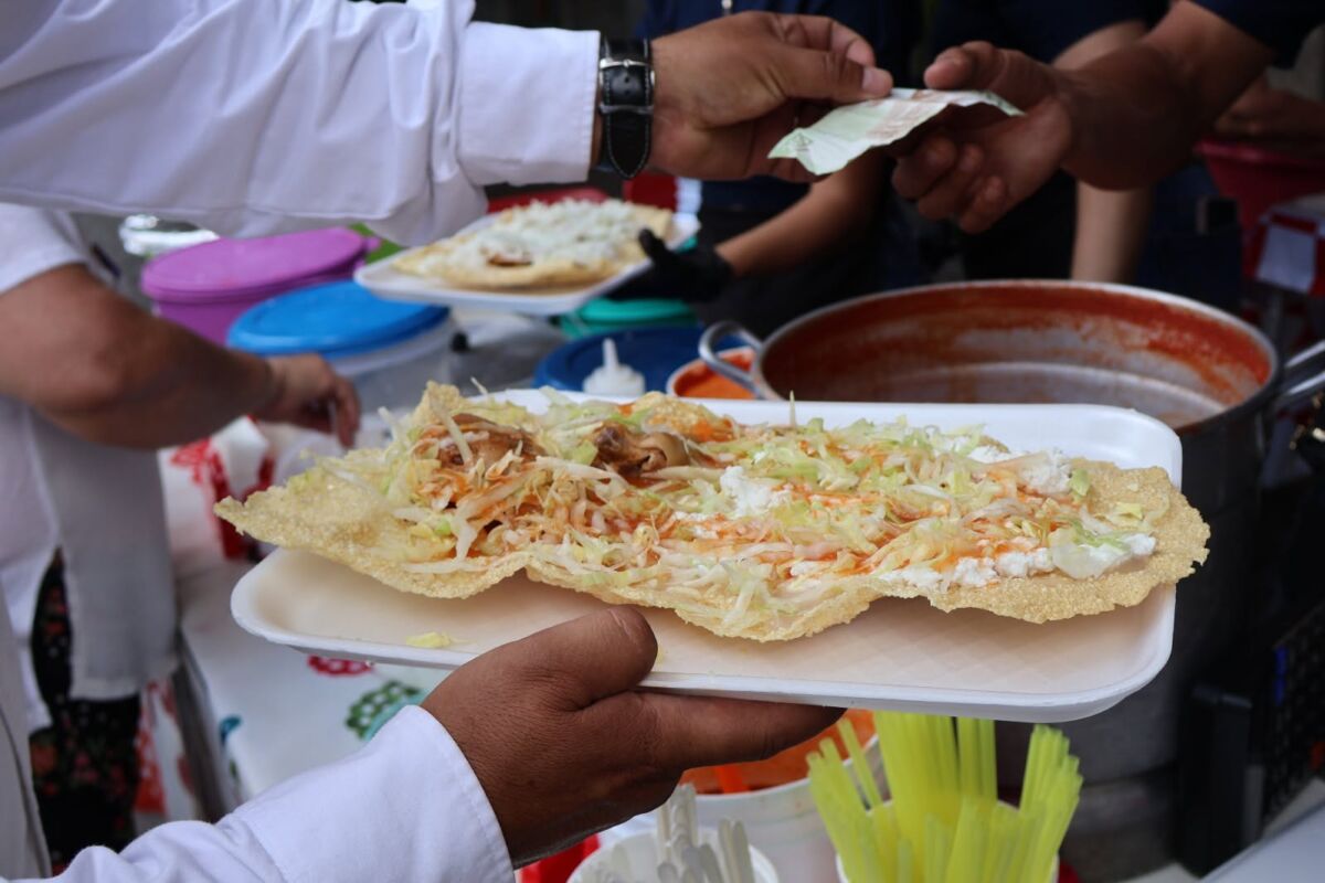 persona sosteniendo una tostada raspada