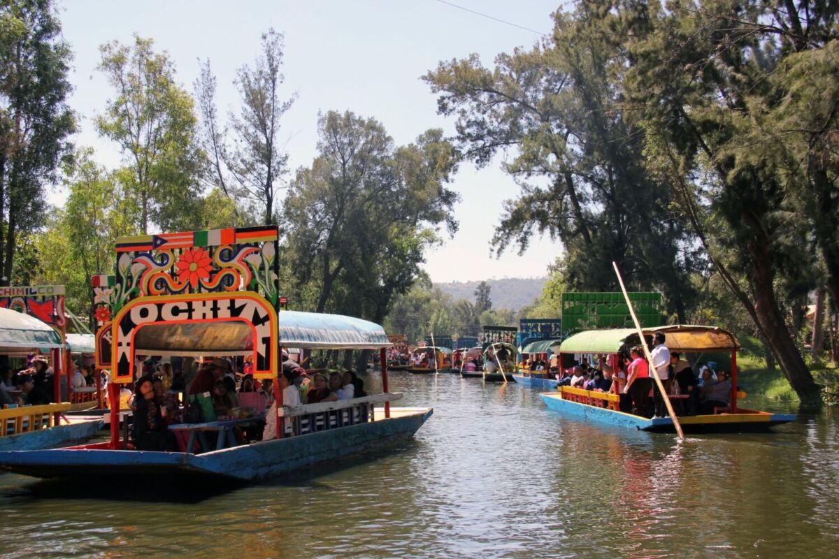 Paseo en Trajineras de Xochimilco 