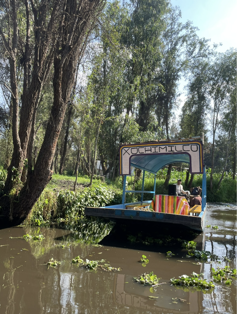 Trajinera en Xochimilco 