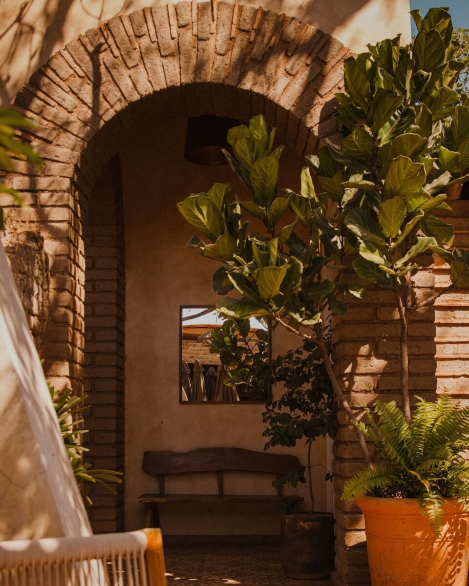 espacio acogedor con mucho ladrillo y plantas 