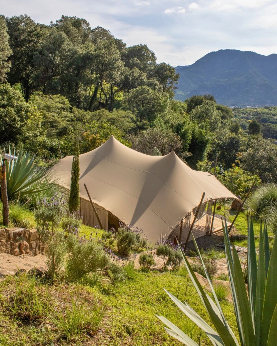 bungalow de safari africano en medio del bosque 