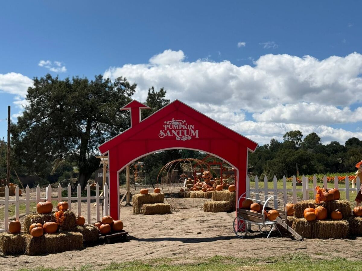 Pumpkin Sanctum en Tlaxcala