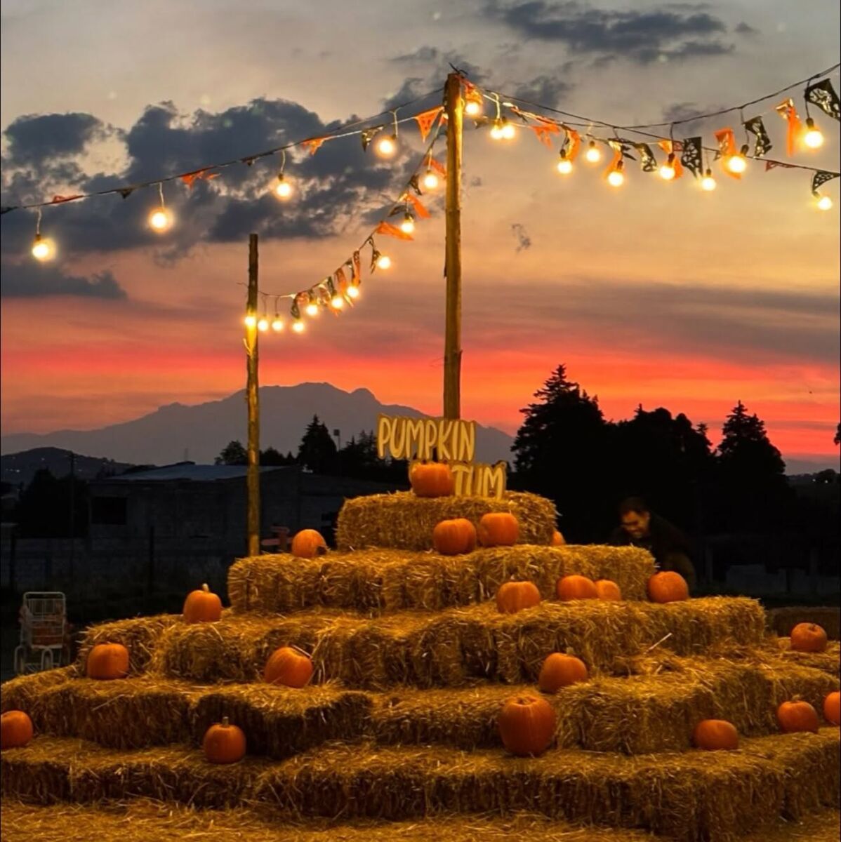 Un pueblito para recoger calabazas y cempasúchil a 2 horas de CDMX: el gran plan de Halloween y Día de Muertos