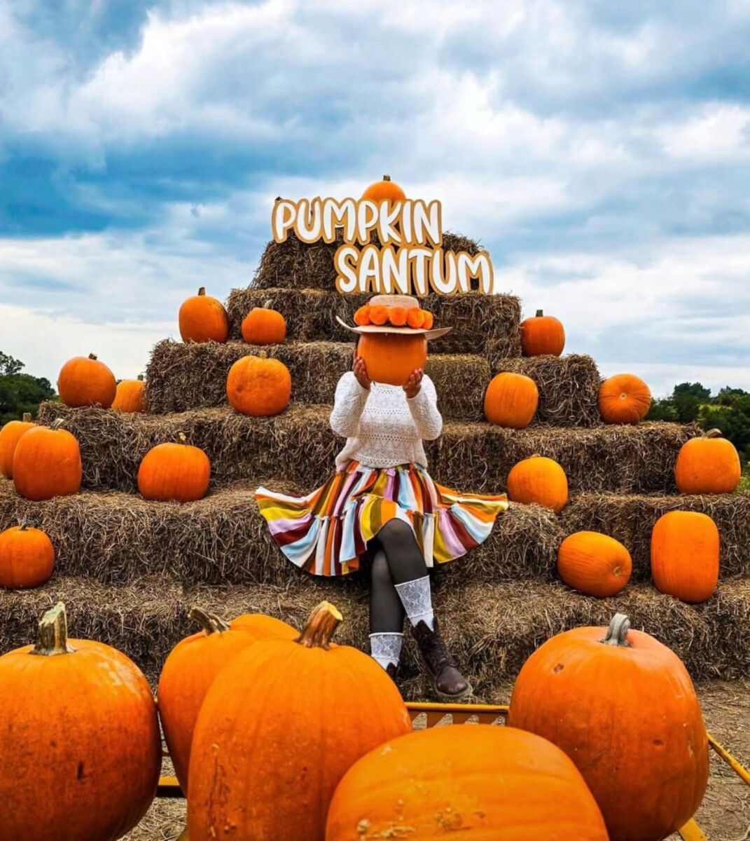 Campo de calabazas en Tlaxcala
