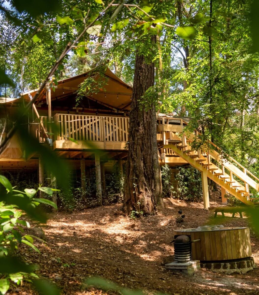 Vista completa de una cabaña de madera en el bosque de Valle de Bravo