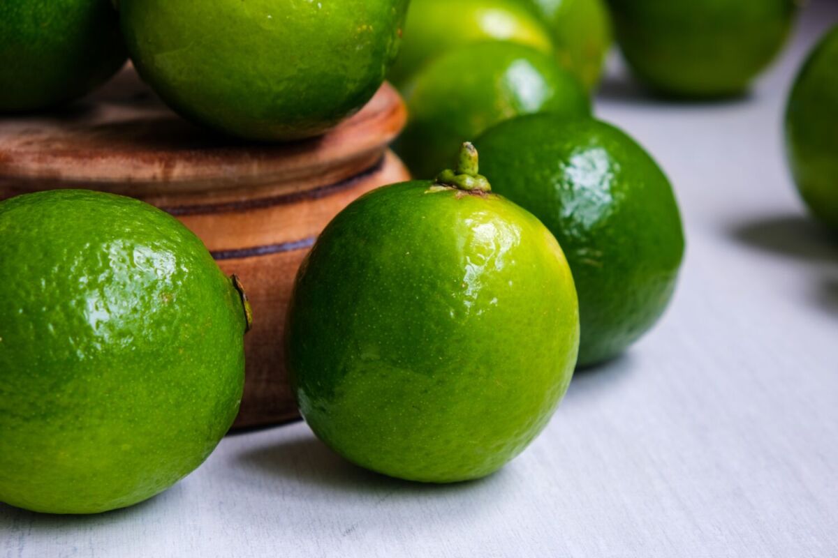 limón persa 