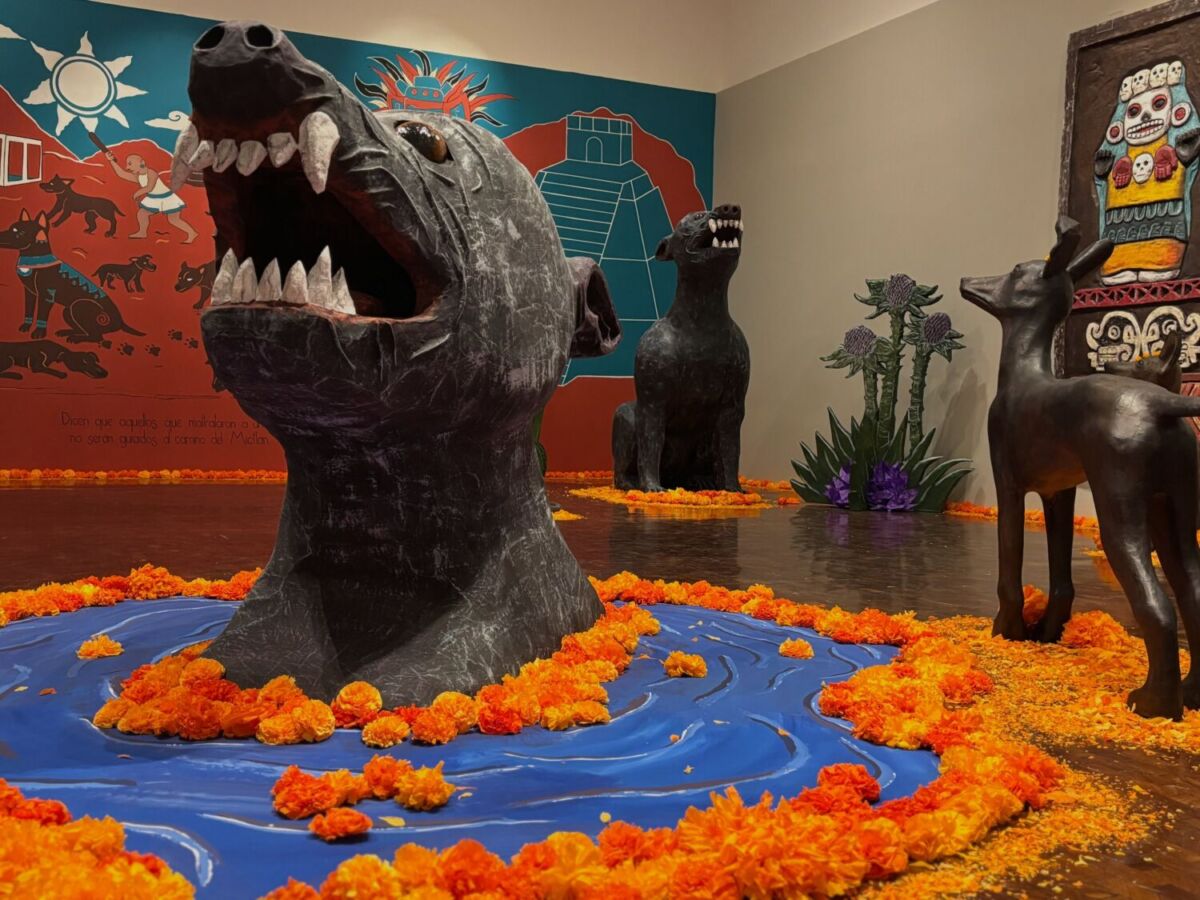 altar de Día de Muertos con un Xoloitzcuintle gigante 
