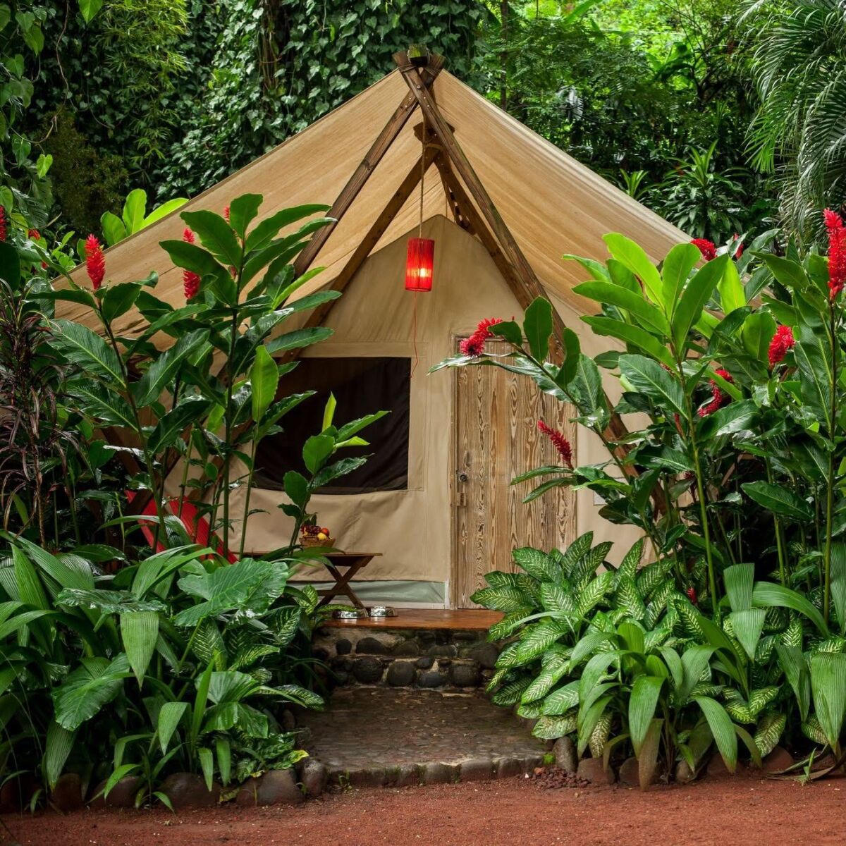 glamping en la selva