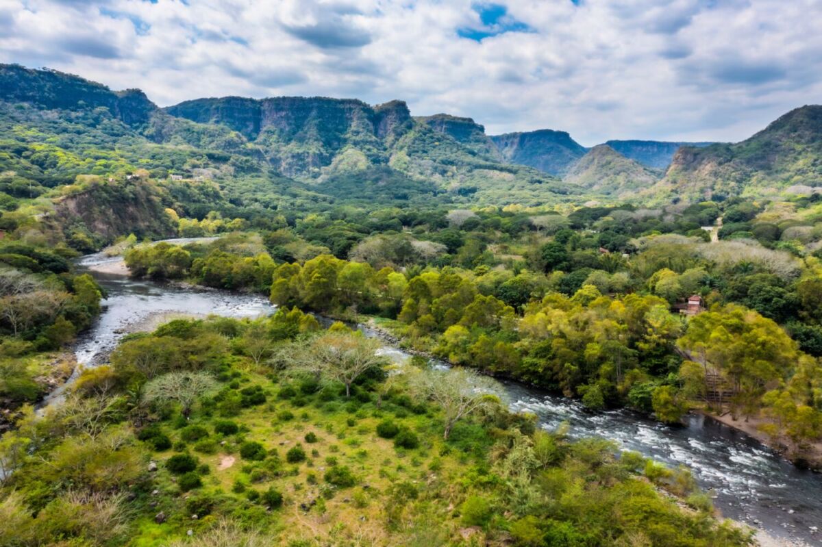 Río la Antigua en medio de la selva de Veracruz