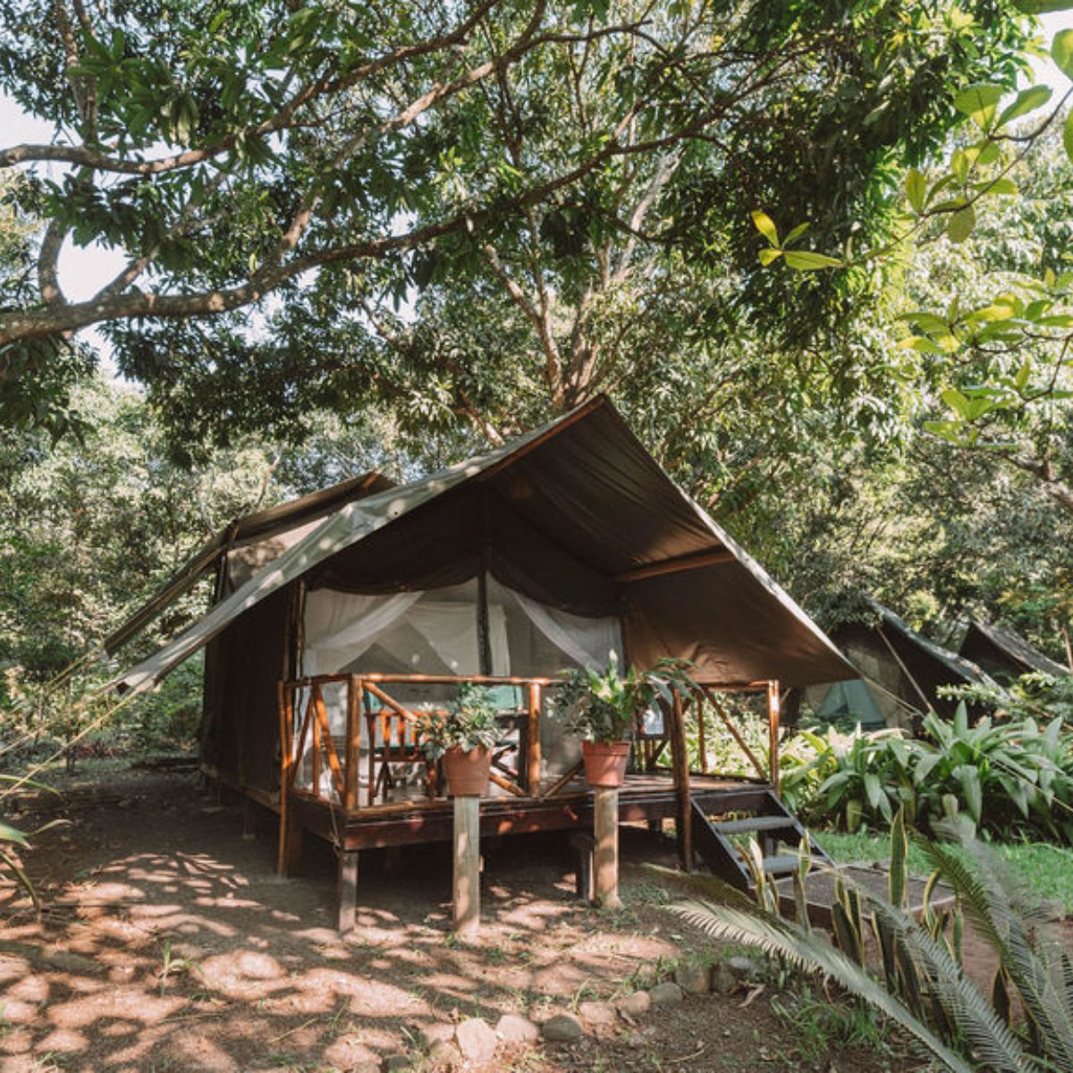 Cabaña para hacr glamping en medio de la selva de Veracruz