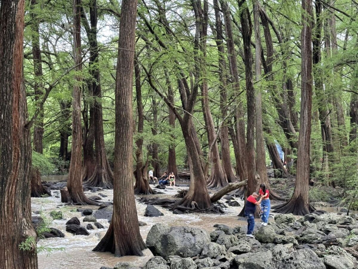 Turistas disfrutando del Bosque de Las Musas en Guanajuato 