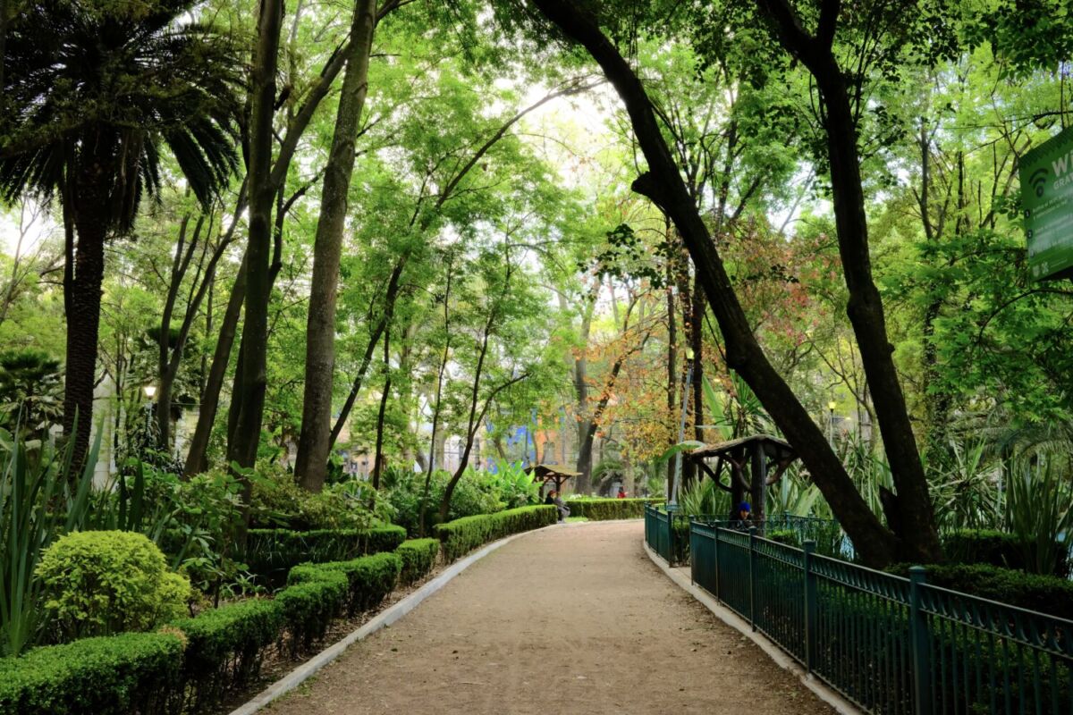 senderos parque méxico