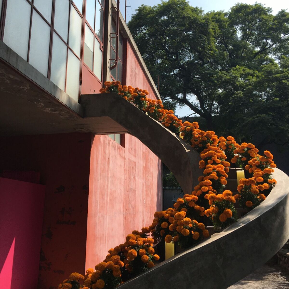 escalera decorada con flores de cempasúchil