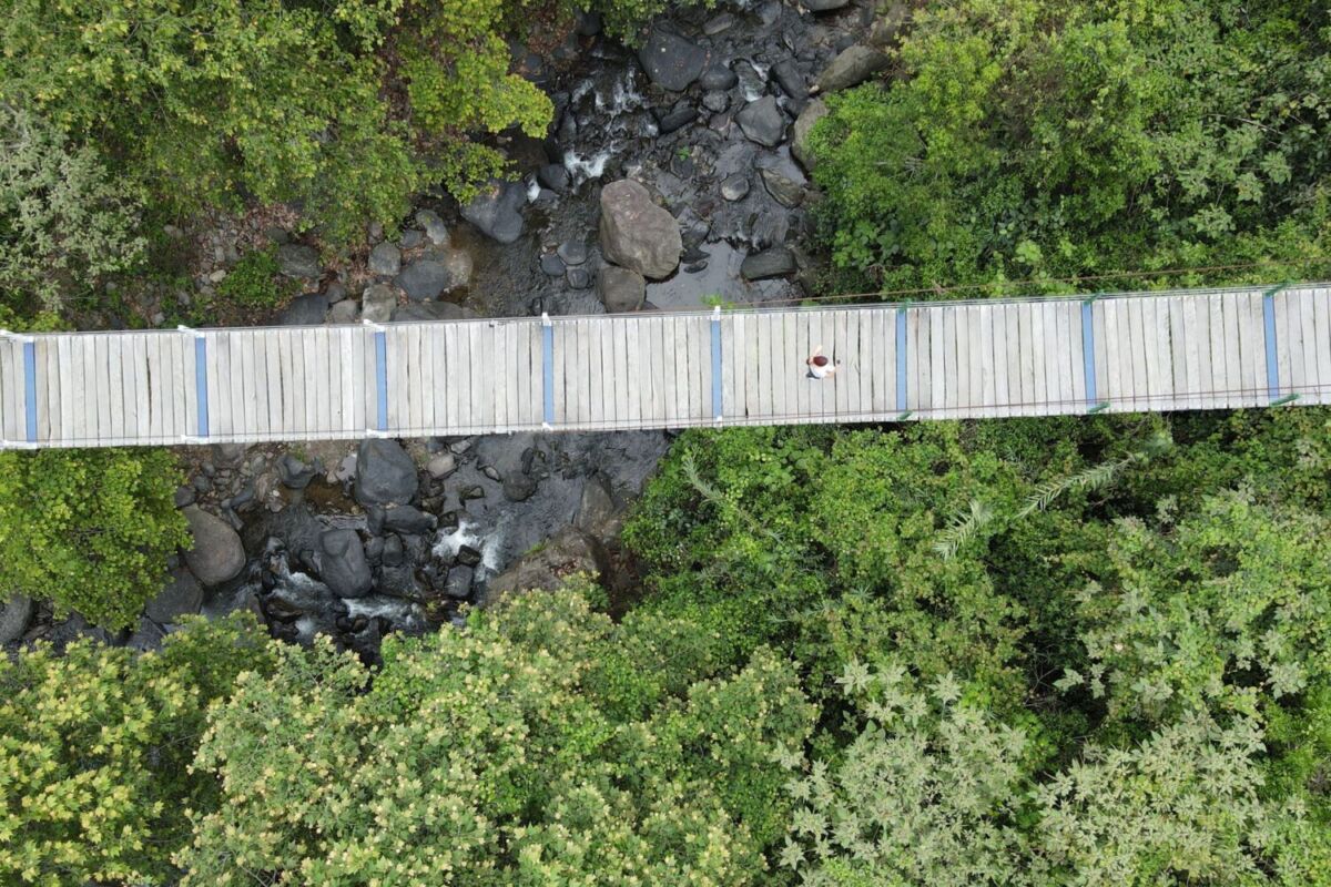 El bosque poco conocido entre lagunas cristalinas, puentes colgantes y comida rica para disfrutar de viernes a domingo