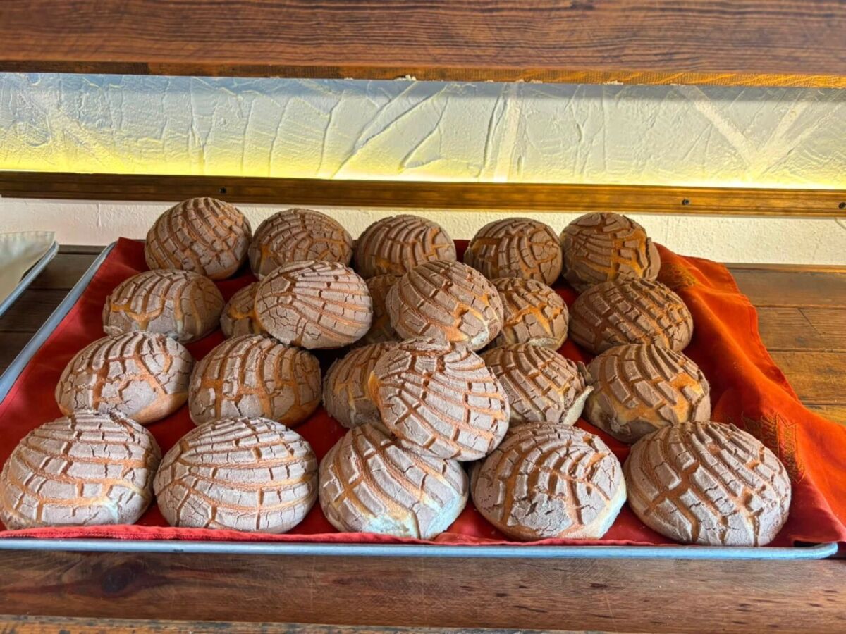 concha de chocolate  con costra de azucar en bandejas