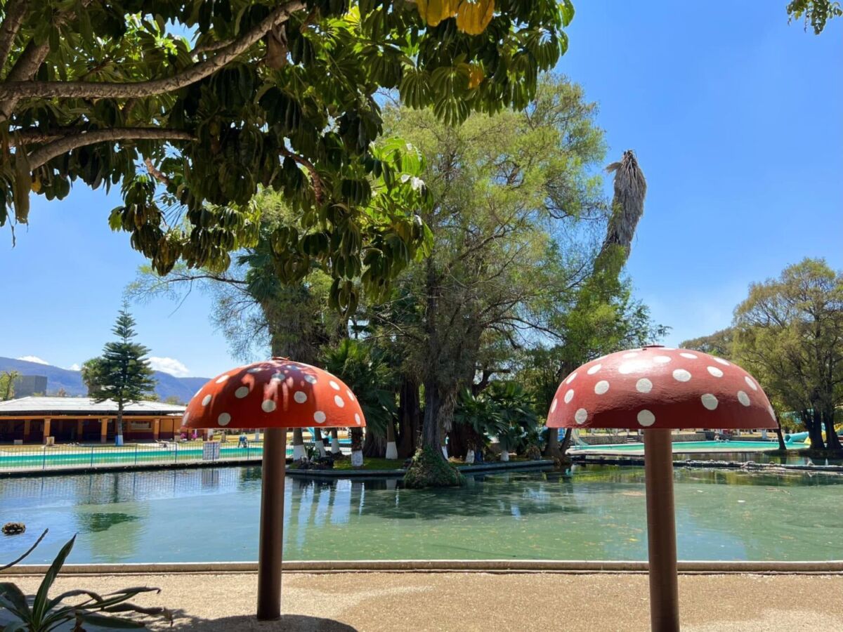 Balneario Ejidal Las Fuentes en Jiutepec, Morelos