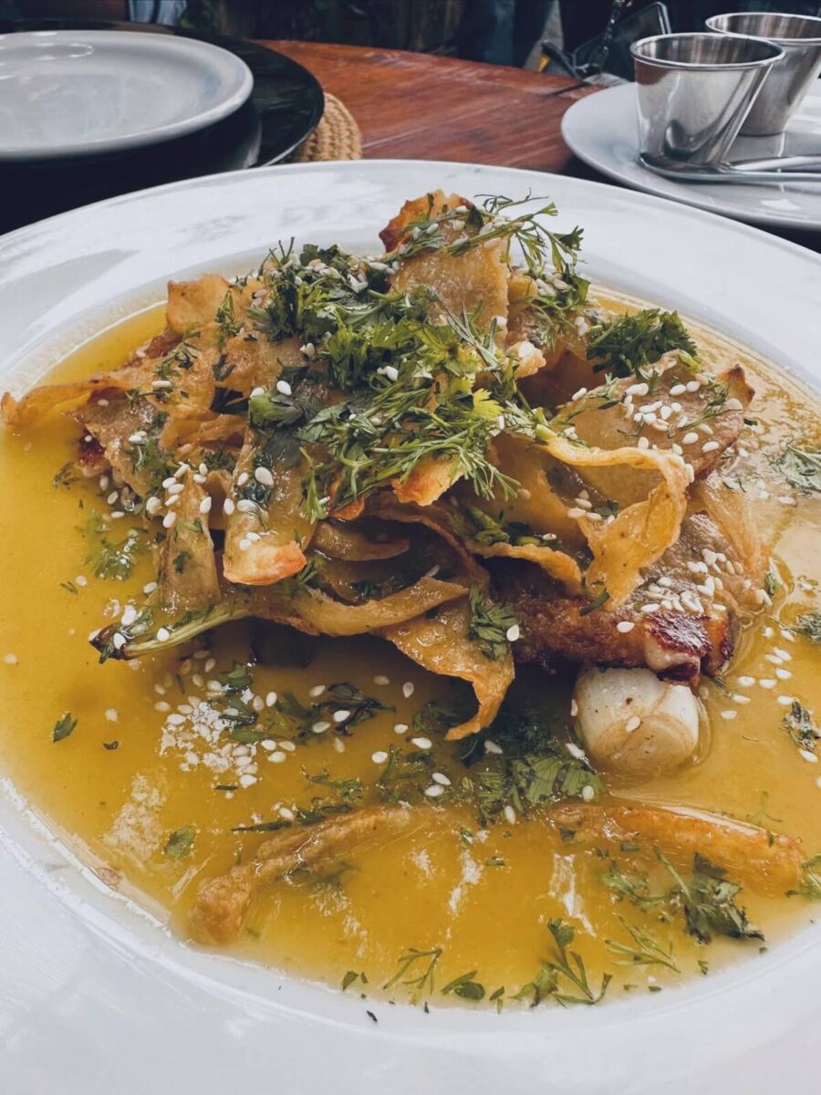 queso cilantro 