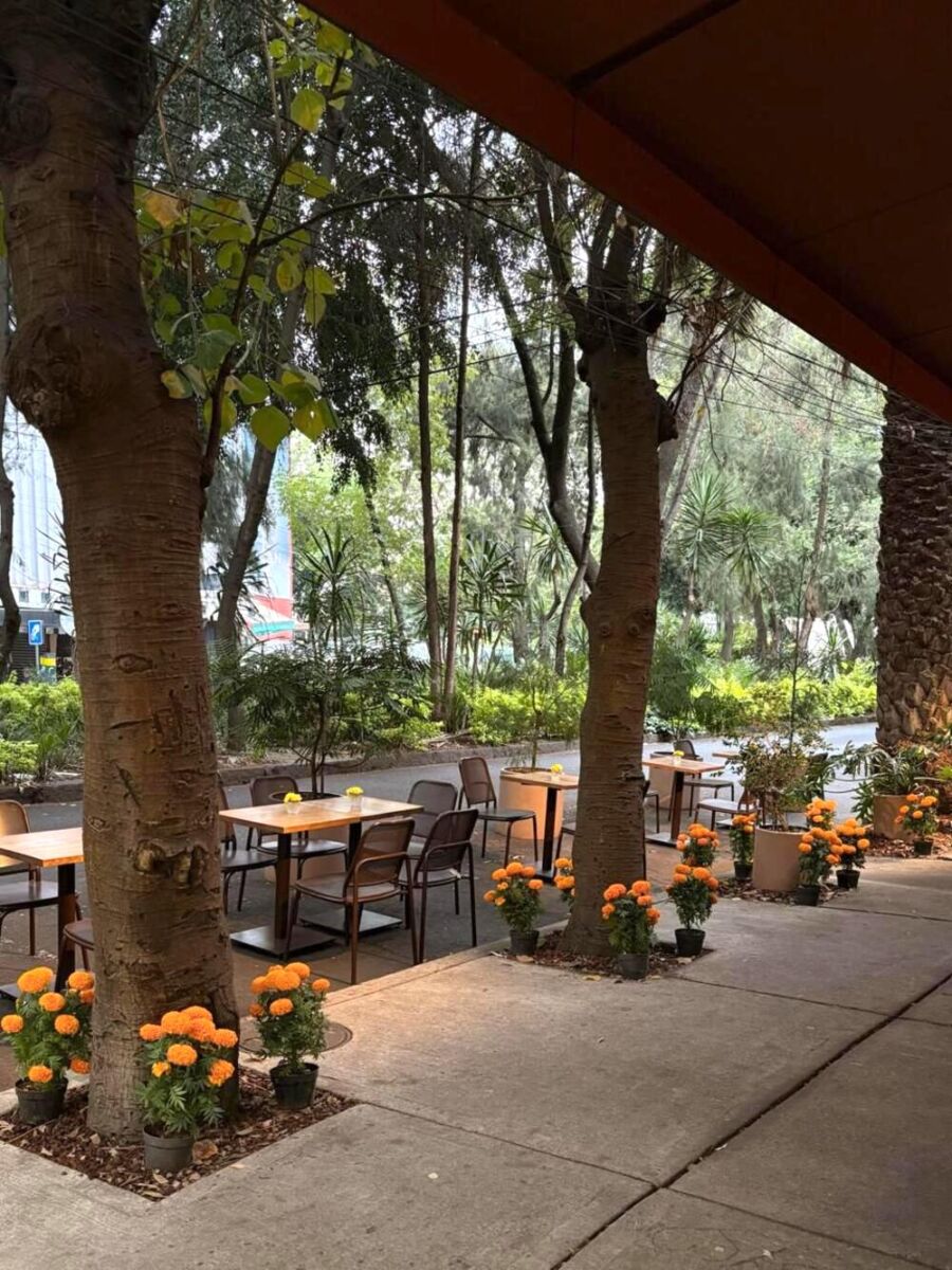 Terraza de Elena 147 con decoración de otoño