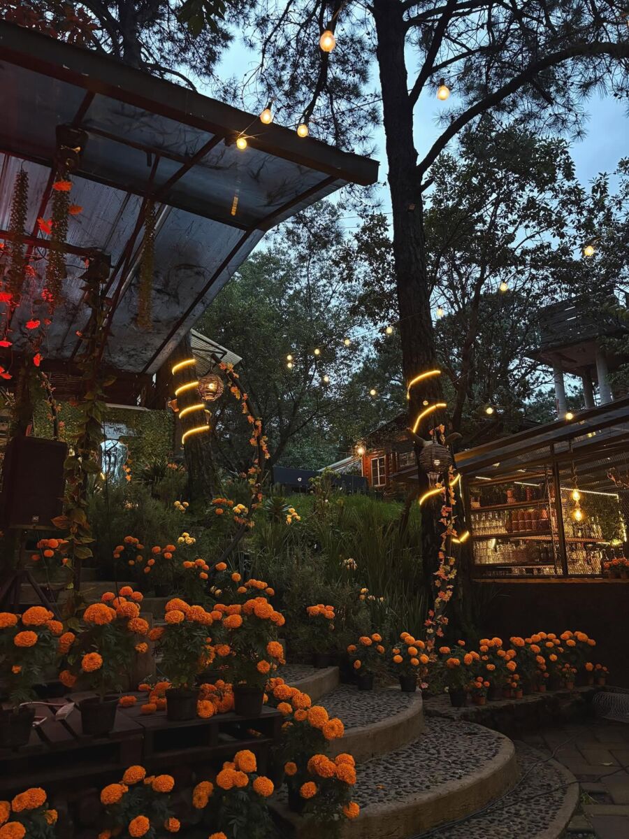 Decoración de otoño en el restaurante Selva Negra Ajusco