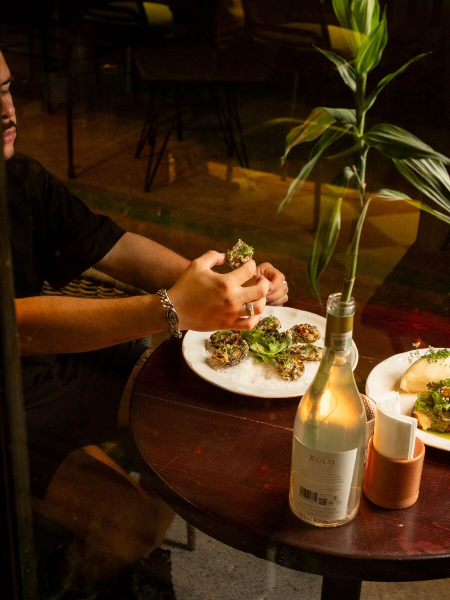 persona comiendo ostiones preparados en un restaurante sofisticado