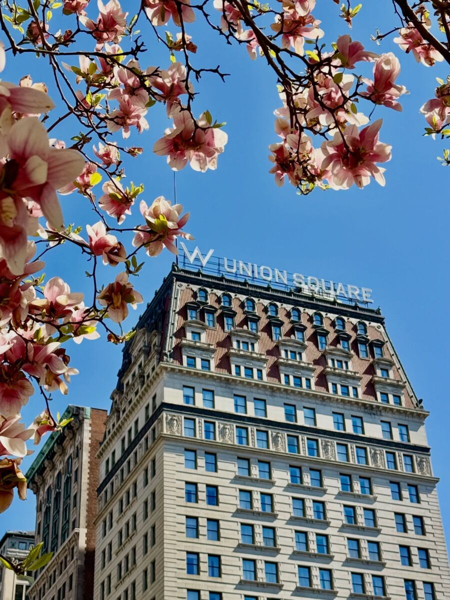 w hotel New York union square