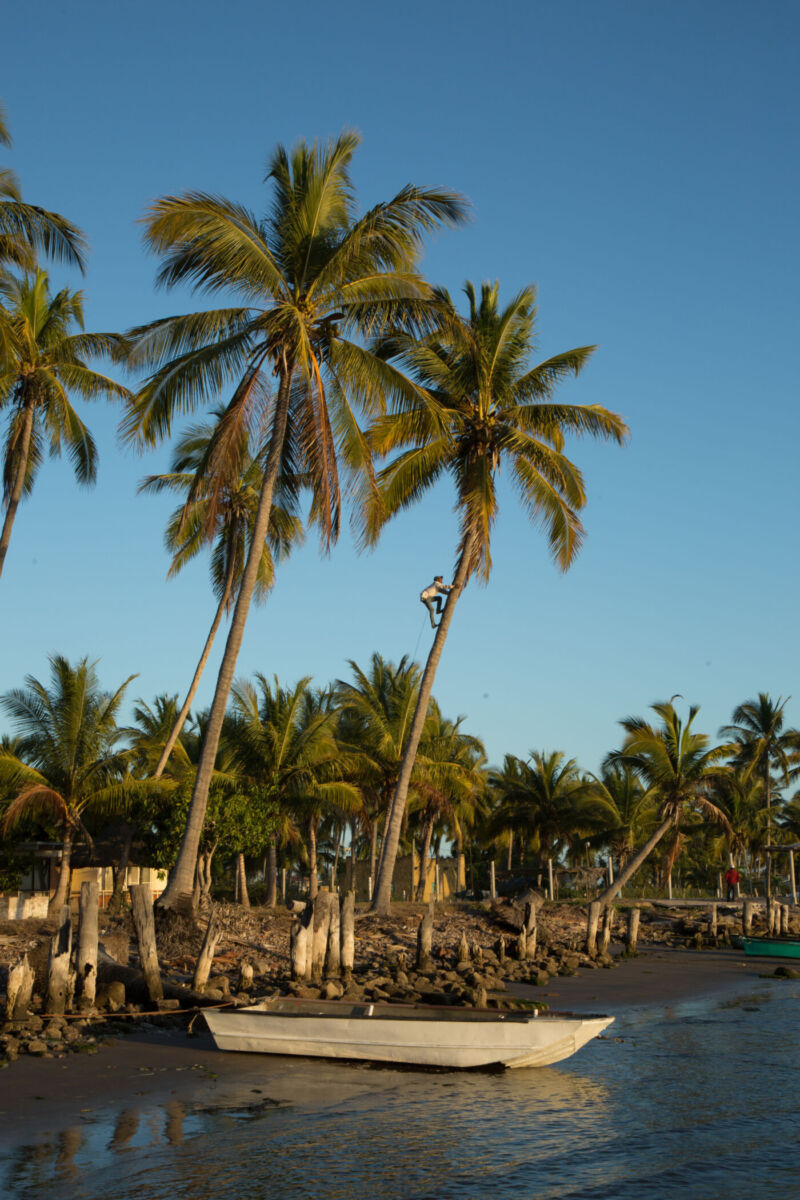 lancha en el muelle de una playa mexicana