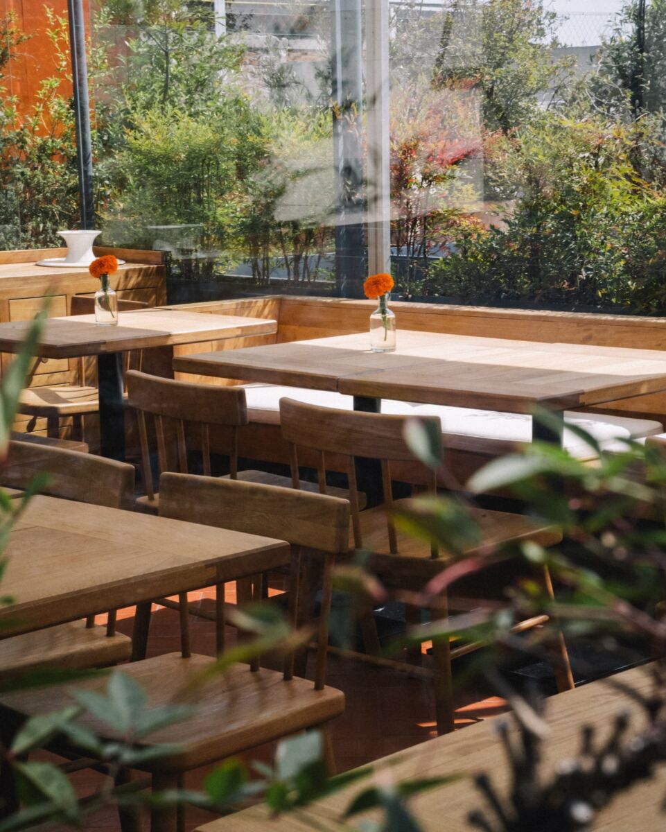 terraza mexicana Centro Histórico 