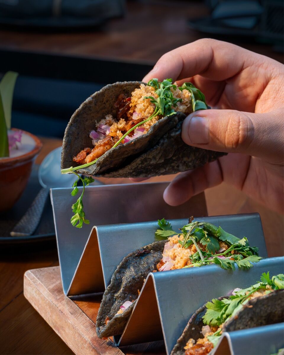 persona agarrando tacos 