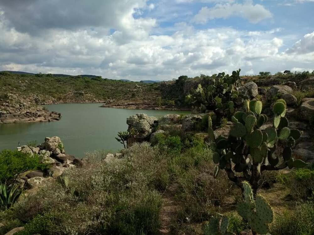 Presa del Cedro, Guanajuato